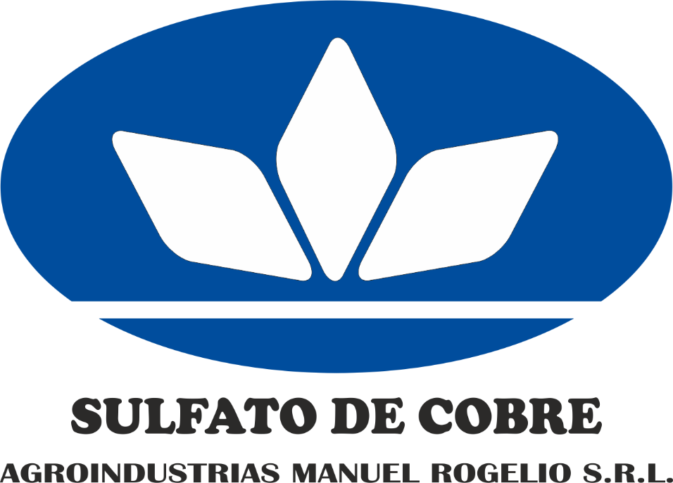 242619042_101707335640424_2419275028284976040_n